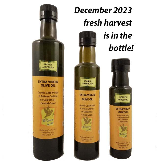 2023 Harvest Spanish Arbequina EVOO